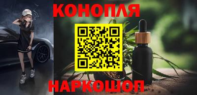 МДПВ Татарск