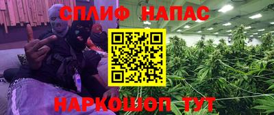 МДПВ Татарск