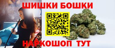 МДПВ Татарск