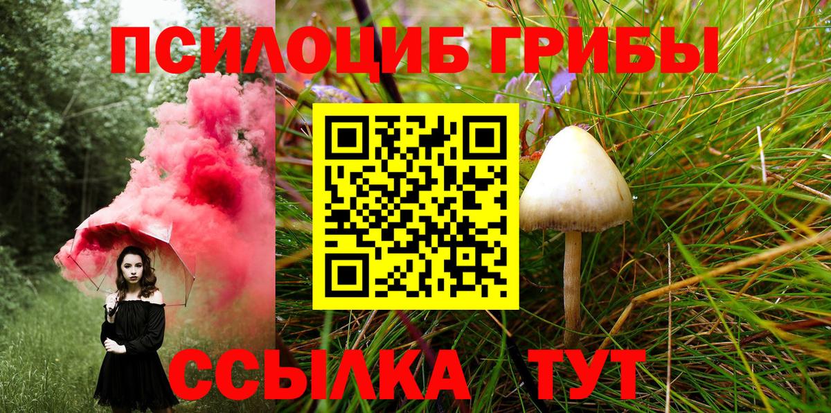 Новороссийск  Псилоцибиновые грибы мицелий  Вход с VPN 