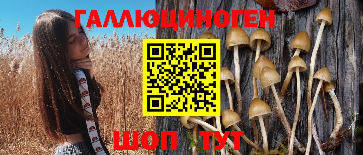 Галлюциногенные грибы GOLDEN TEACHER Новороссийск